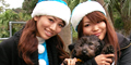 青サンタ2009