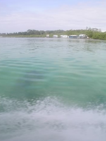 カリブ海