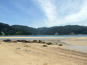 潮干狩り