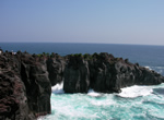 伊豆の海