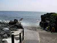 伊豆海洋公園 エントリー口