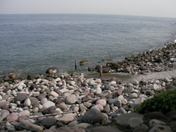 大瀬崎