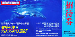 マリンダイビングフェア招待件