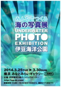 伊豆海洋公園の海～みんなでつくる海の写真展～開催のお知らせ