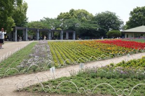 DSC02234